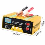 12v 24v-car-battery-intelligent-pulse-repairing-charge-device-14