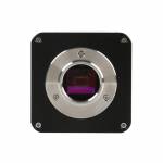 FHD 1080P SONY IMX290 Industry Autofocus Measuring Video Microscope Camera with C-Mount Light Big Ho