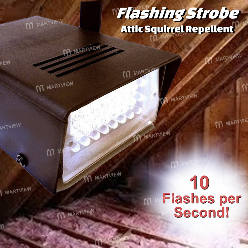 attic squirrel-repellent-06