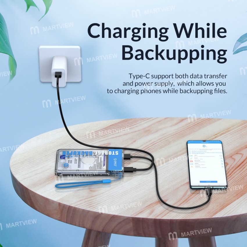 Orico BA2110 2TB Capacity 5Gbps SATA to Type-C Port Backuper can One-touch Backup/Delete Backup