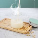 soymilk maker-350ml-multifunction-machine-juicer-soy-milk-13