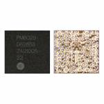 PM8029 Power Management IC