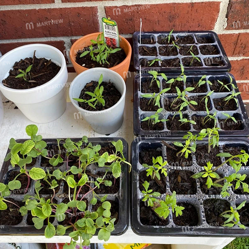 10 set-seed-trays-seedling-starter-kit-with-12-cells-per-tray-07