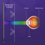 TuoLi TL-1812B Multifunctional Anti Blue Light Anti Peeping Explosion Hydrogel Protection Film - 50P