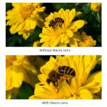 58mm 043x-super-wide-angle-macro-2-in-1-additional-lens-for-nikon-canon-sony-5