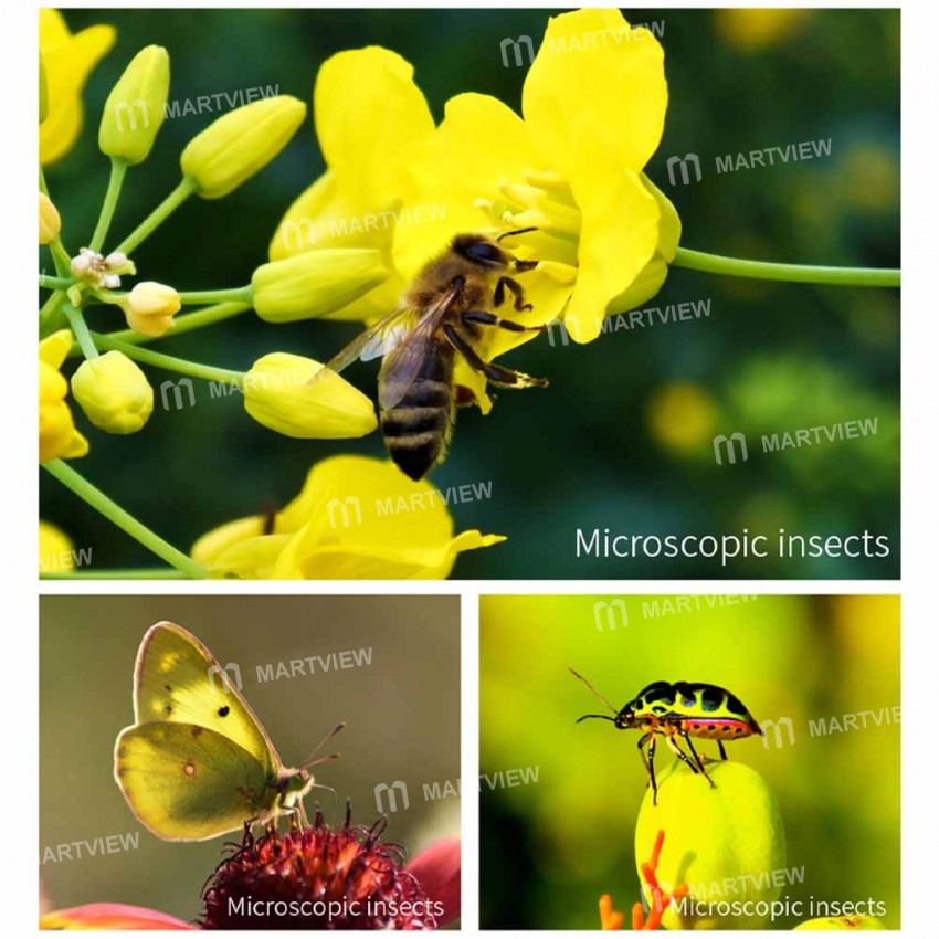 30mm to-120mm-distortion-free-long-range-universal-mobile-phone-macro-lens-3