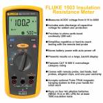 fluke 1503-professional-2000m-digital-insulation-resistance-tester-3