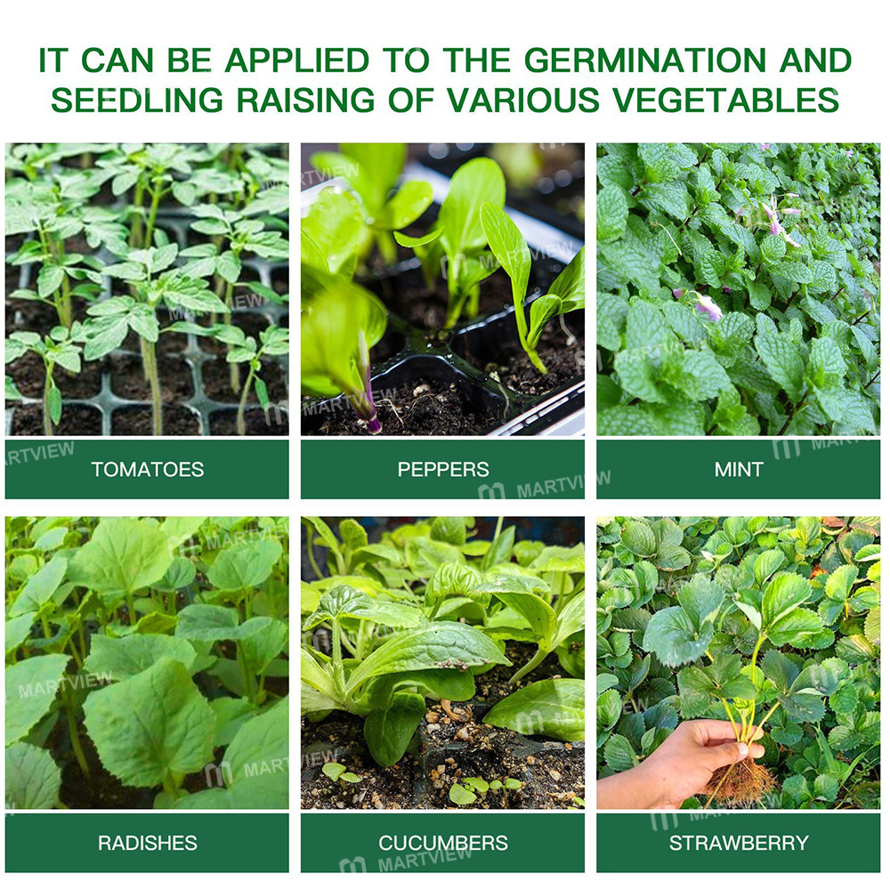 10 set-seed-trays-seedling-starter-kit-with-12-cells-per-tray-09