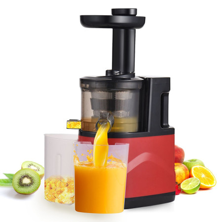 Slow Masticating Juicer Extractor Cold Press Juicer Machines with 2 Speed Modes Easy Clean Brush Quiet Motor for Vegetables