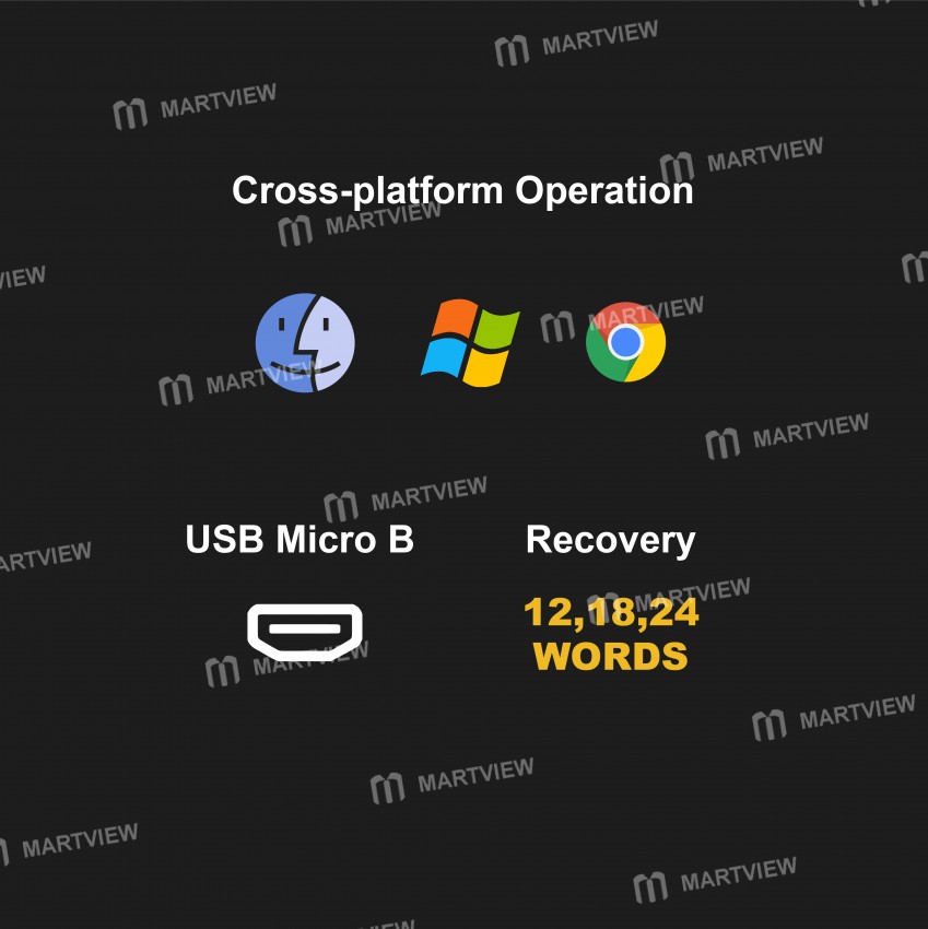 SecuX W10 Crypto Hardware Wallet - Infineon CCEAL5+ Secure Element- Malaysia