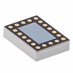 k79 lb-dsm-lb-diversity-module-5