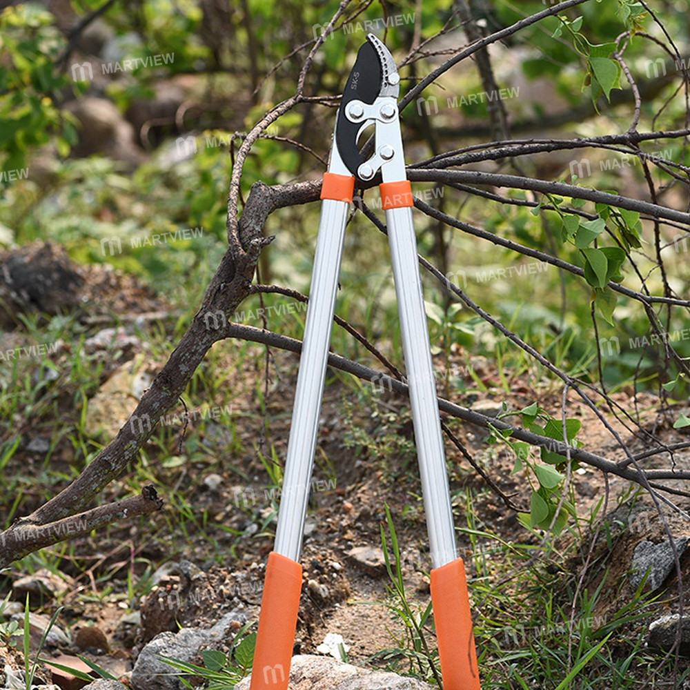 loppers sharp-anvil-lopper-10