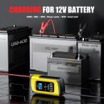 12v 8a-car-battery-intelligent-pulse-repairing-charge-device-12