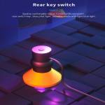 B&R G-10W High-intensity UV Intelligent Curing Violet Lamp