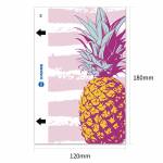 Sunshine SS-057D Mobile Phone Back Cover Protection Color Film for SS-890C Cutting Machine - 50Pcs