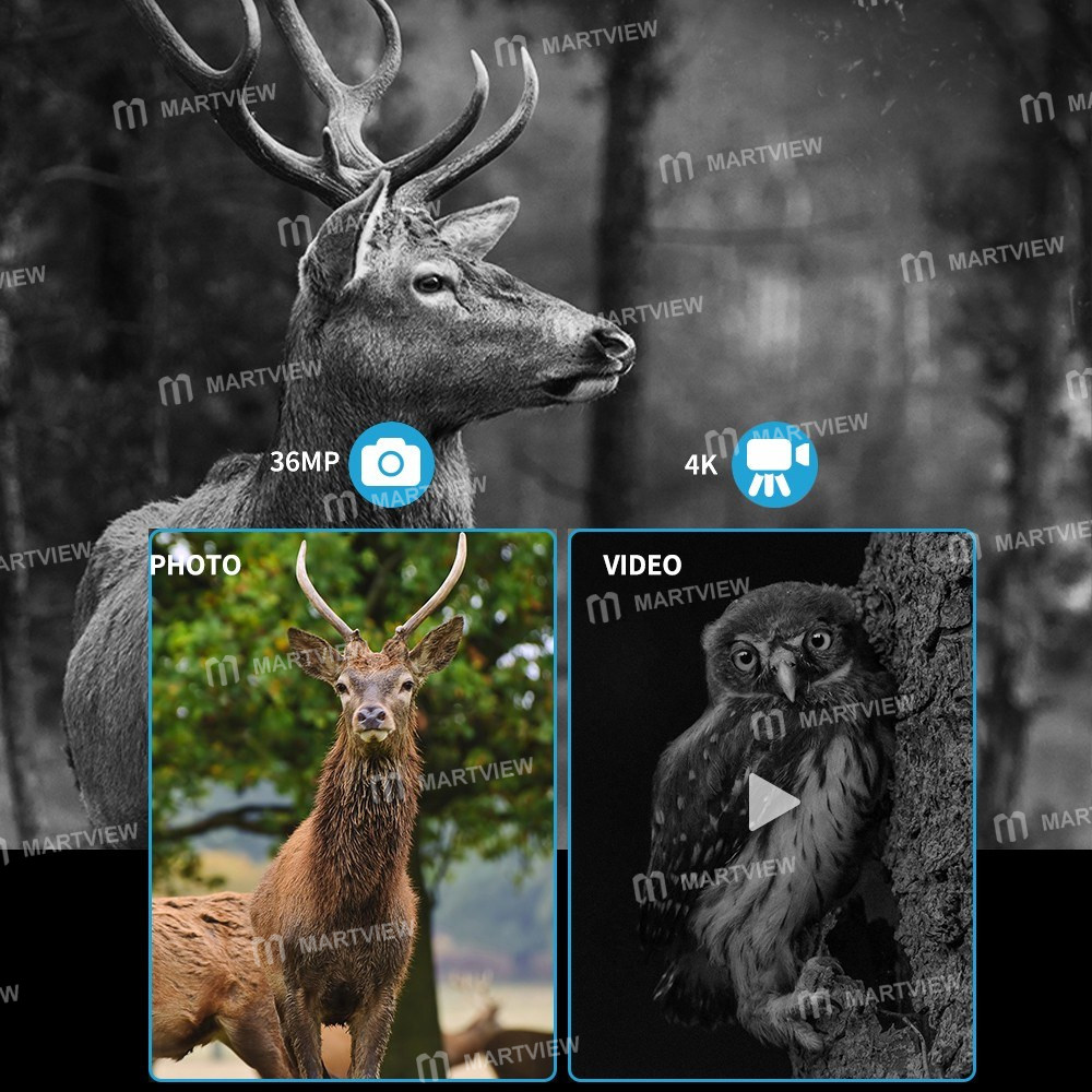 night vision-goggles-36mp-4k-digital-infrared-night-vision-4