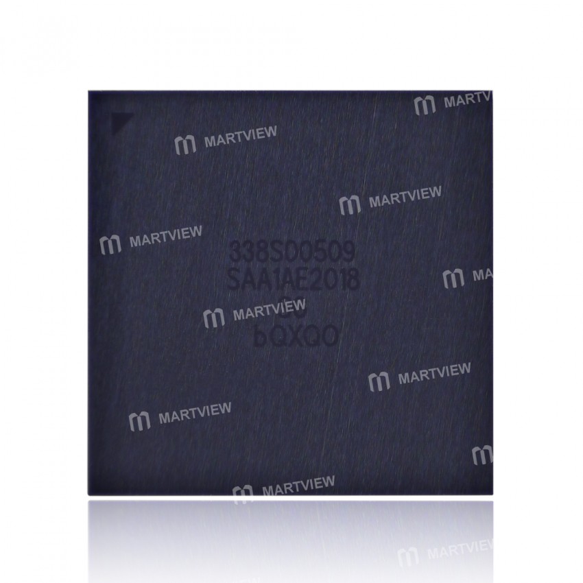 338s00509 big-audio-ic-2