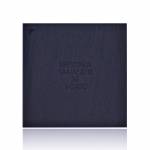 338s00509 big-audio-ic-2