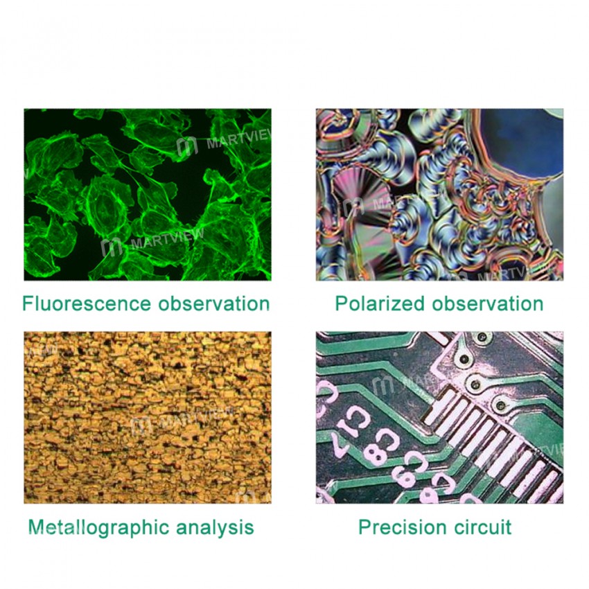 BEST HDMI1030UUC Full HD 2MP 2K HDMI Microscope Industrial Camera for Phone CPU PCB Repair