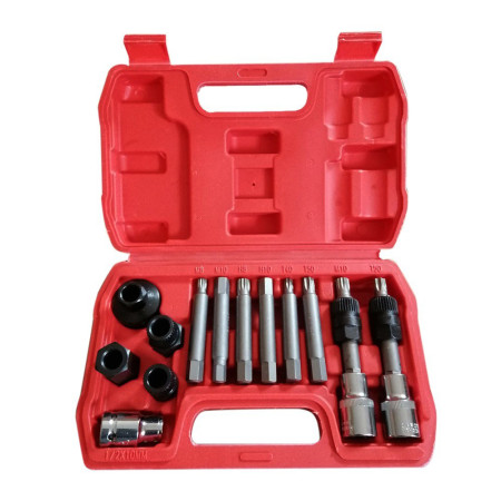 Alternator Pulley Tool Kit 13 Pcs with Storage Case