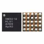 SM3010 LCD Display IC