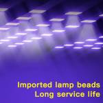 Mechanic LV60 1000W High Power UV Fast Curing Box with LED Cold Light Source