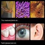 mechanic e3-b11-7x-60x-simul-focal-trinocular-stereo-zoom-microscope-with-b11-big-base-4