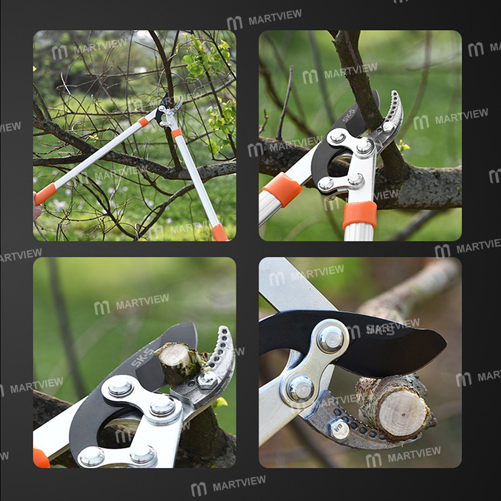 loppers sharp-anvil-lopper-04