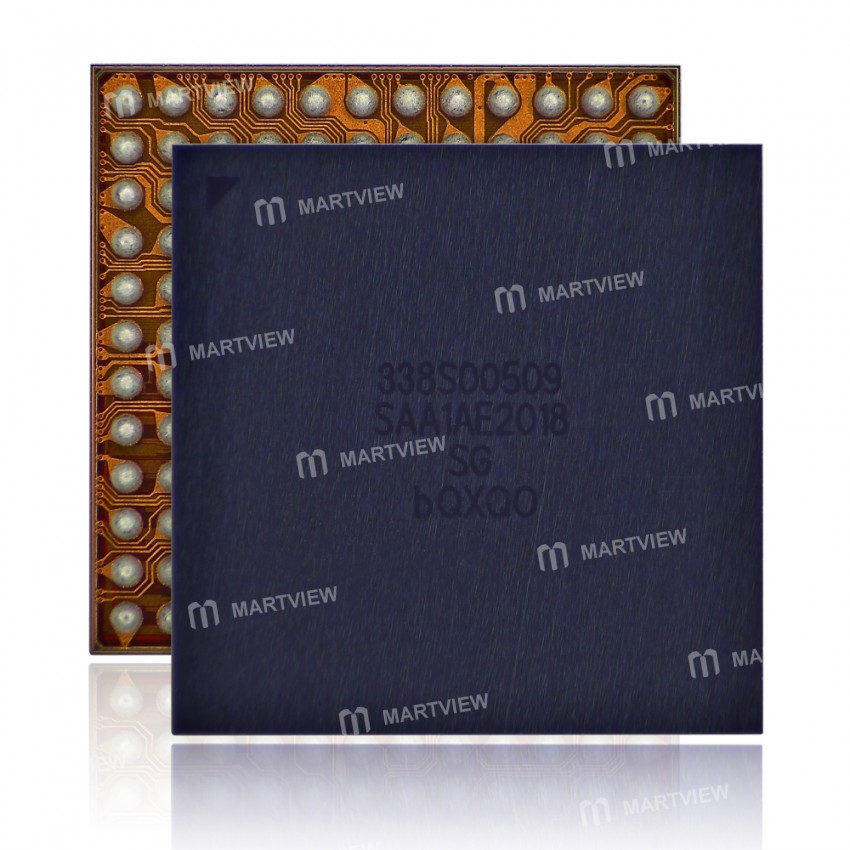 338s00509 big-audio-ic-1