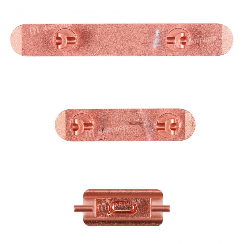 coral 2