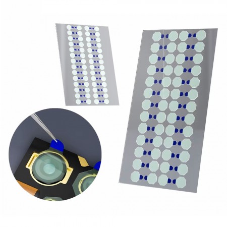 Lanrui S3 6mm / 12mm Phone Camera All-round Green Dust Proof Protective Sticker - 260Pcs