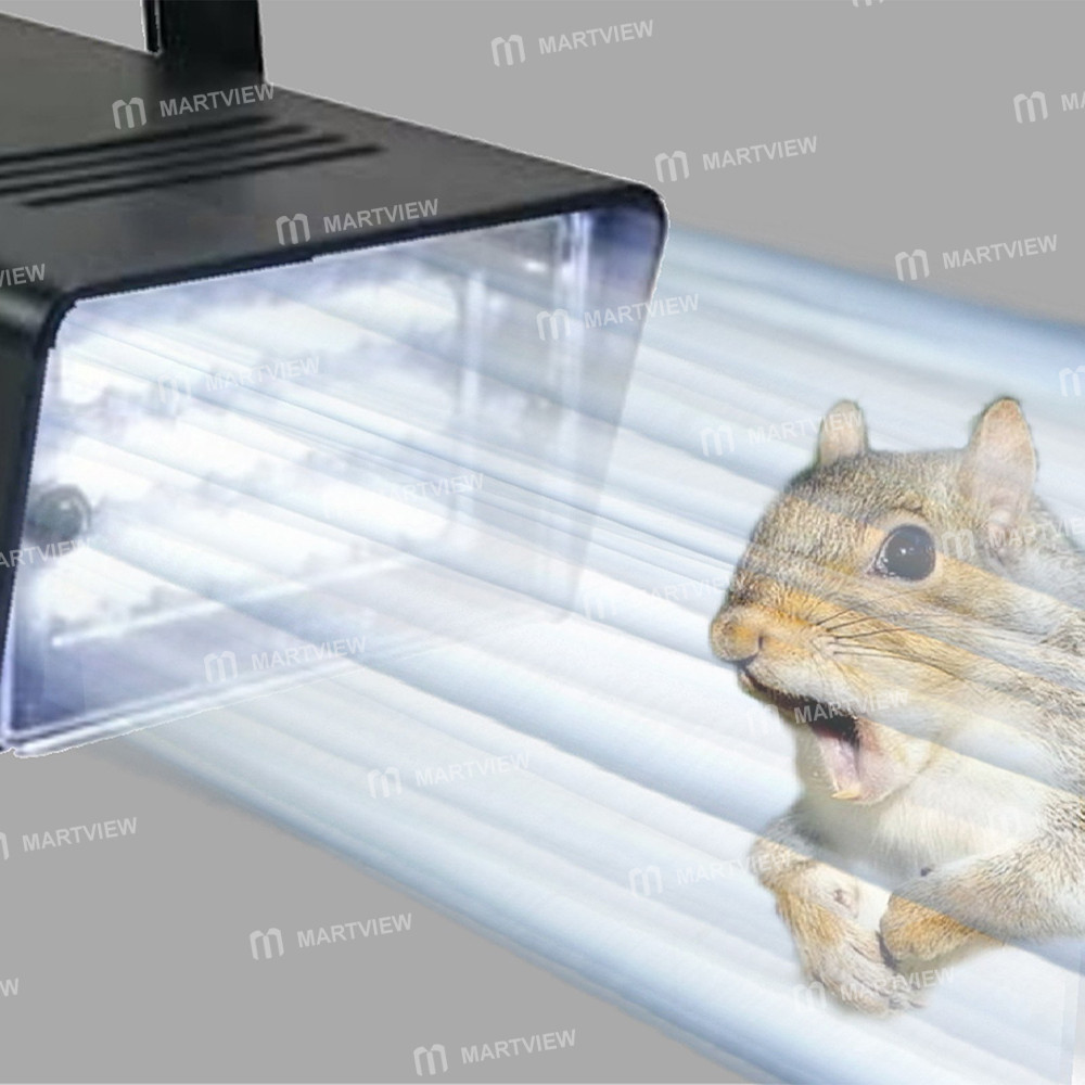 attic squirrel-repellent-03
