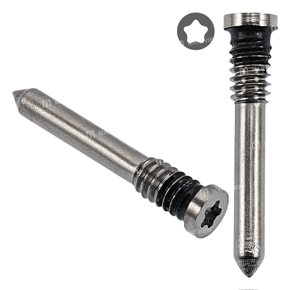 natural titanium2